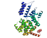 Tetratricopeptide Repeat Domain Protein 24 (TTC24)