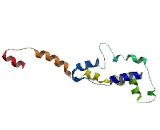 Tetratricopeptide Repeat Domain Protein 35 (TTC35)