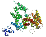 Tetratricopeptide Repeat Domain Protein 38 (TTC38)
