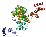 Tetratricopeptide Repeat Domain Protein 7B (TTC7B)