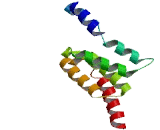 Tetratricopeptide Repeat Domain Protein 9 (TTC9)