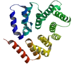 Tetratricopeptide Repeat Domain Protein 9B (TTC9B)