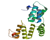Tetratricopeptide Repeat Domain Protein 9C (TTC9C)