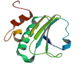 Thioredoxin Domain Containing Protein 9 (TXNDC9)