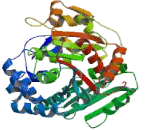 Threonine Synthase Like Protein 2 (THNSL2)