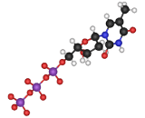 Thymidine Triphosphate (TTP)
