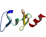 Thyroid Hormone Receptor Interactor 6 (TRIP6)