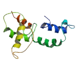 Tigger Transposable Element Derived Protein 1 (TIGD1)