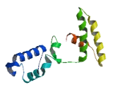 Tigger Transposable Element Derived Protein 2 (TIGD2)