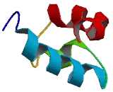 Tigger Transposable Element Derived Protein 4 (TIGD4)