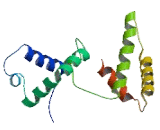 Tigger Transposable Element Derived Protein 7 (TIGD7)