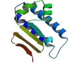 Transducer Of ERBB2, 2 (TOB2)