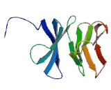 Transducin Beta like Protein 3 (TbL3)