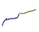 Transforming, Acidic Coiled-Coil Containing Protein 3 (TACC3)