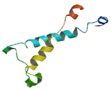 Translocator Protein 2 (TSPO2)