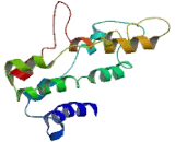Transmembrane 6 Superfamily, Member 1 (TM6SF1)