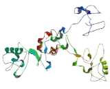 Transmembrane 6 Superfamily, Member 2 (TM6SF2)