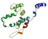 Transmembrane 9 Superfamily, Member 2 (TM9SF2)