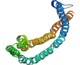 Transmembrane And Coiled Coil Domain Family 1 (TMCC1)