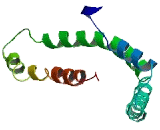 Transmembrane And Coiled Coil Domains Protein 3 (TMCO3)