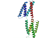 Transmembrane And Coiled Coil Domains Protein 5 (TMCO5)