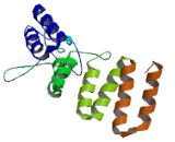 Transmembrane And Tetratricopeptide Repeat Containing Protein 1 (TMTC1)