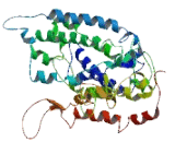 Transmembrane Channel Like Protein 5 (TMC5)