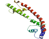 Transmembrane Channel Like Protein 6 (TMC6)