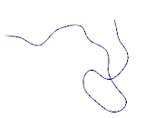 Transmembrane Channel Like Protein 8 (TMC8)