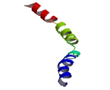 Transmembrane Emp24 Protein Transport Domain Containing Protein 10 (TMED10)