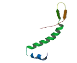 Transmembrane Emp24 Protein Transport Domain Containing Protein 2 (TMED2)