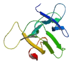 Transmembrane Emp24 Protein Transport Domain Containing Protein 5 (TMED5)