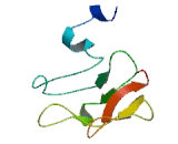 Transmembrane Emp24 Protein Transport Domain Containing Protein 7 (TMED7)