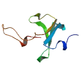 Transmembrane Emp24 Protein Transport Domain Containing Protein 9 (TMED9)