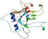 Transmembrane Epididymal Protein 1 (TEDDM1)
