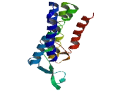 Transmembrane Protein, Adipocyte Associated 1 (TPRA1)
