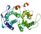 Transmembrane Protein 104 (TMEM104)