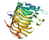 Transmembrane Protein 108 (TMEM108)