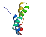 Transmembrane Protein 114 (TMEM114)