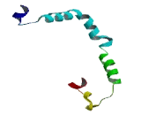 Transmembrane Protein 126B (TMEM126B)