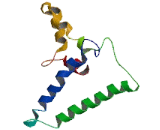 Transmembrane Protein 128 (TMEM128)