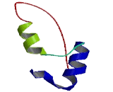 Transmembrane Protein 135 (TMEM135)
