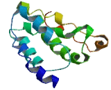 Transmembrane Protein 139 (TMEM139)