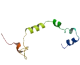 Transmembrane Protein 140 (TMEM140)