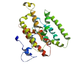 Transmembrane Protein 144 (TMEM144)