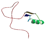 Transmembrane Protein 145 (TMEM145)