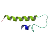 Transmembrane Protein 14A (TMEM14A)