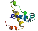Transmembrane Protein 14C (TMEM14C)