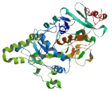 Transmembrane Protein 151B (TMEM151B)
