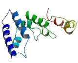 Transmembrane Protein 159 (TMEM159)